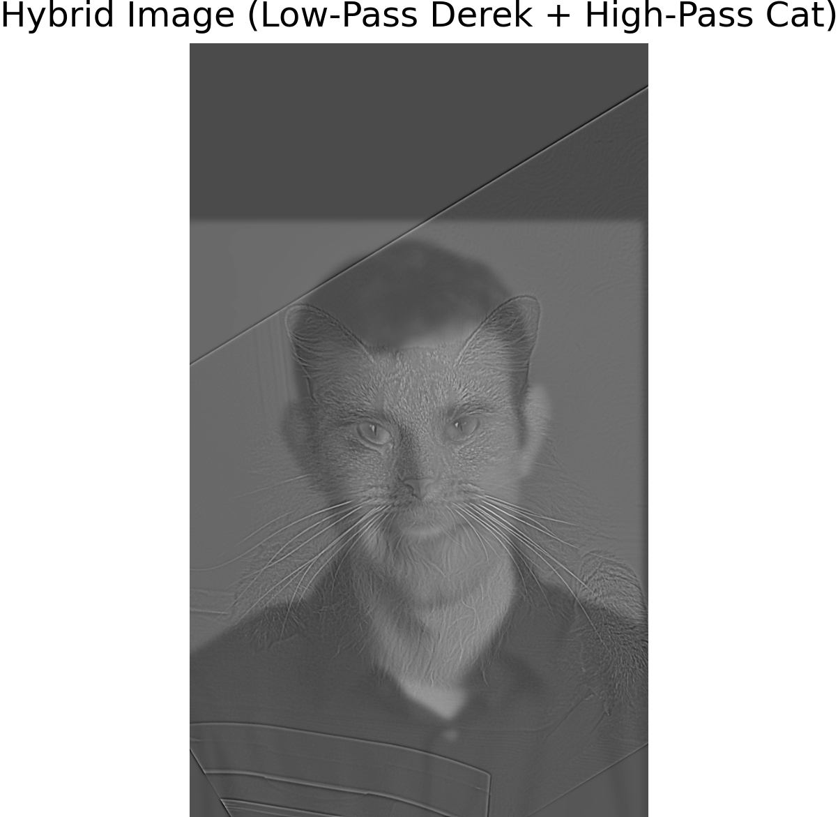 Hybrid Image of Derek and Cat