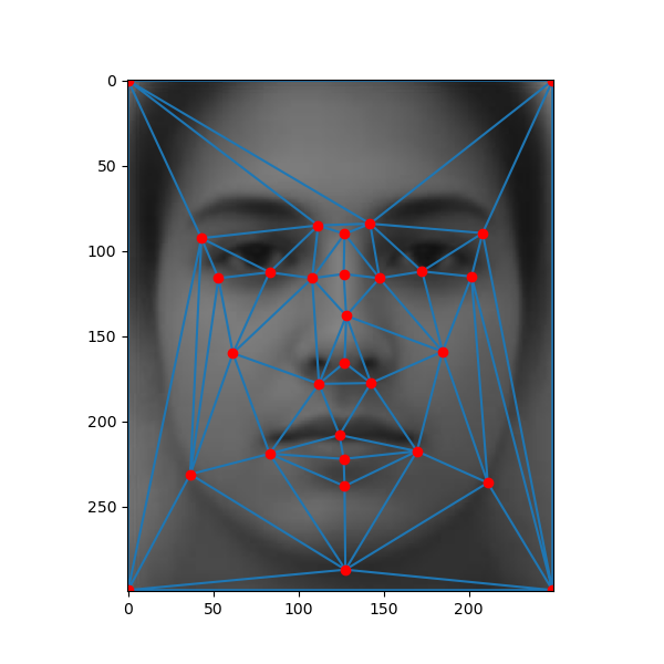 Delaunay on Average Face