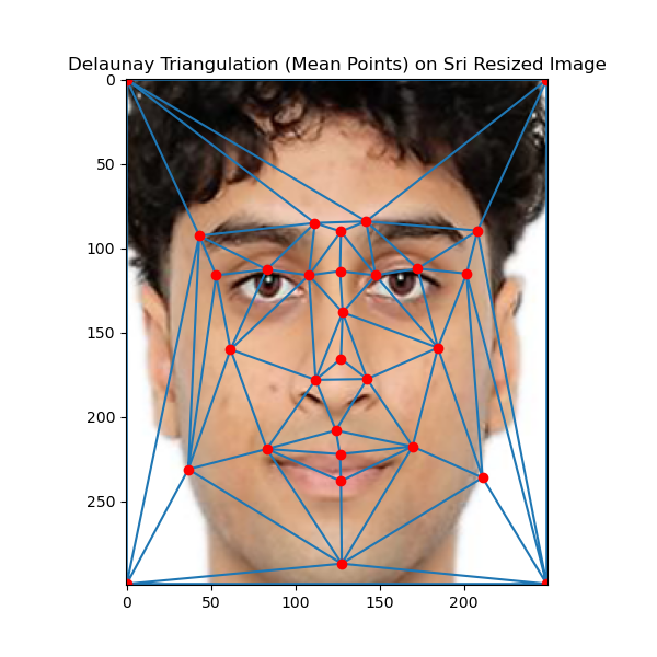 Delaunay on Resized Sri